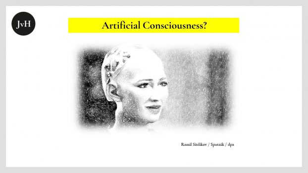 Artificial Consciousness. Warum KI kein Gewissen hat